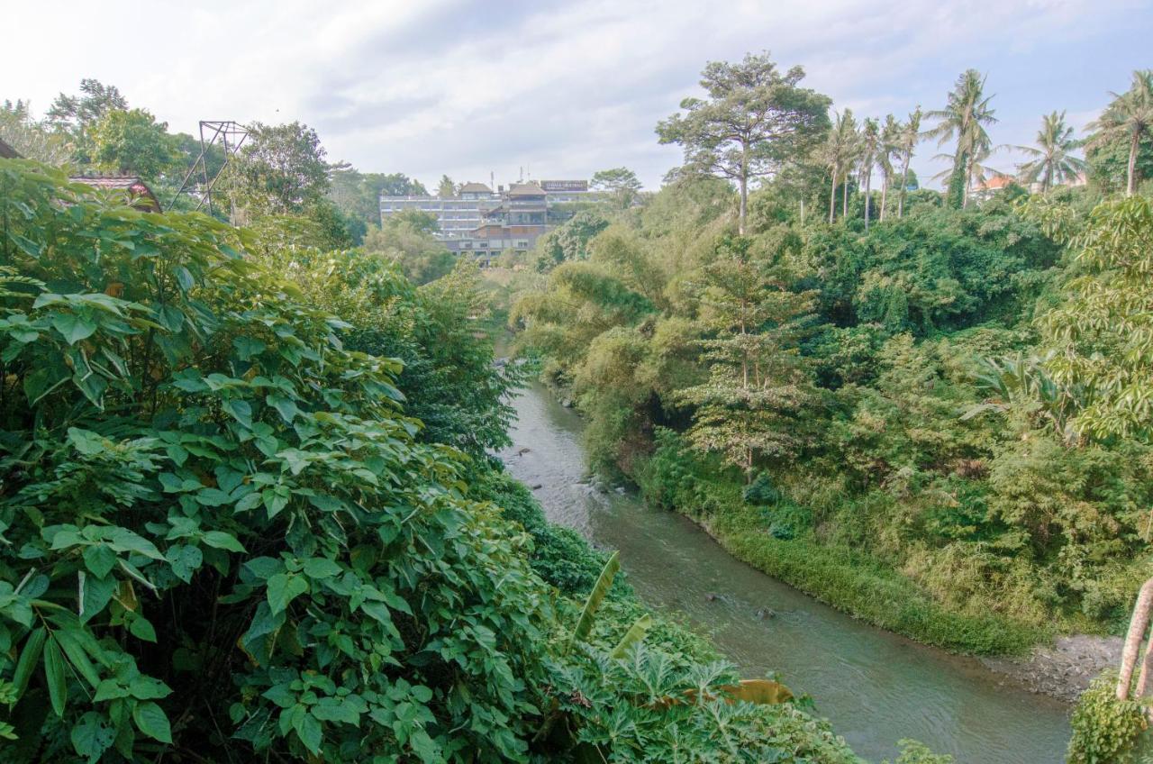 Big Tree House Villa Ubud  Exterior photo